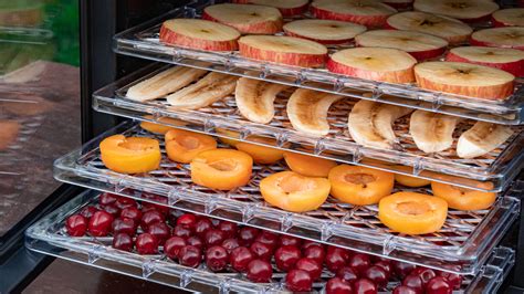 fruit dehydrator machine|fruit dehydrator recipes.